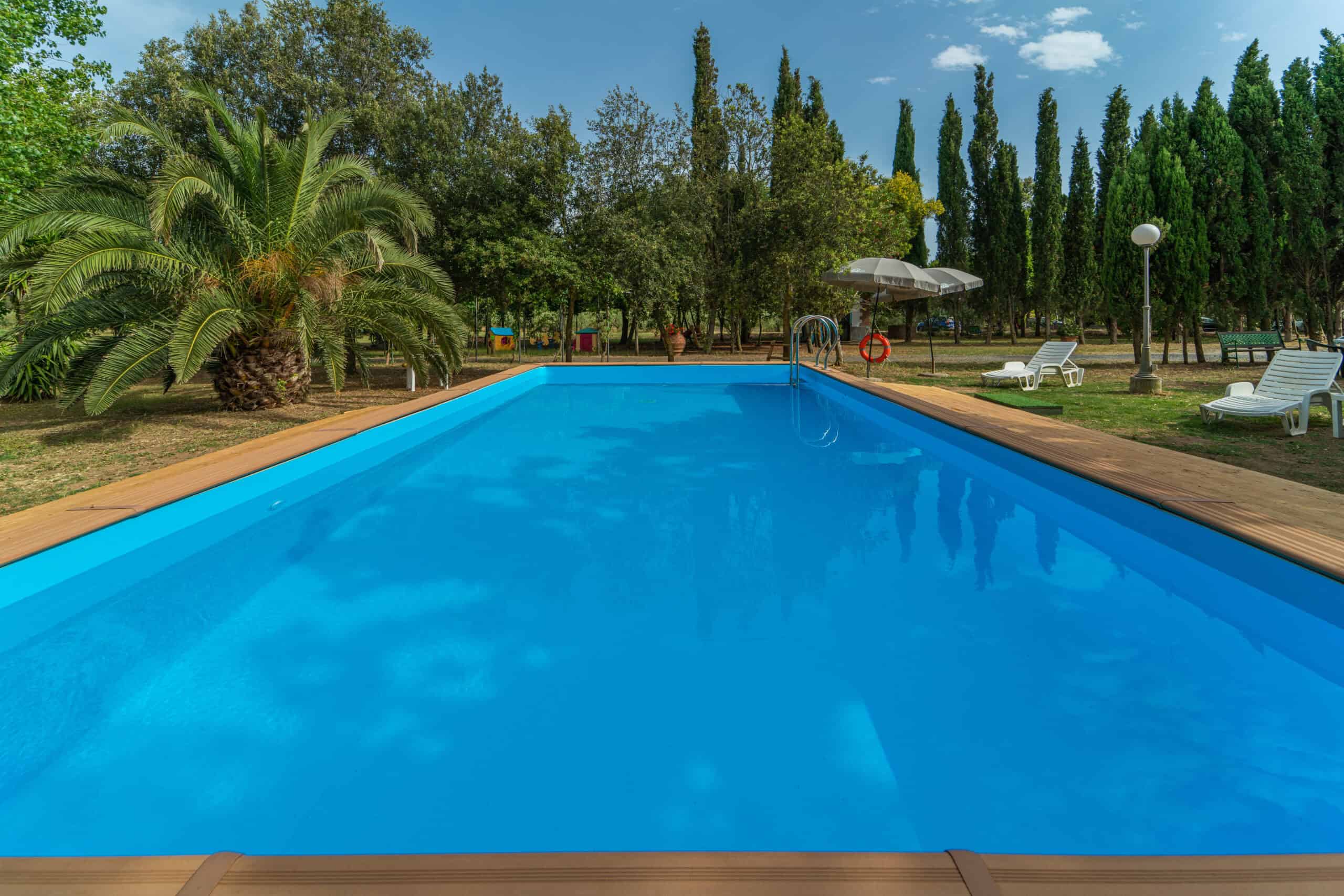 Piscina lunga e rettangolare in mezzo al verde, ideale per il relax e il nuoto.